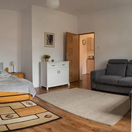 Apartmán Brzozowe Wzgorze - Z Widokiem Na Gory *
